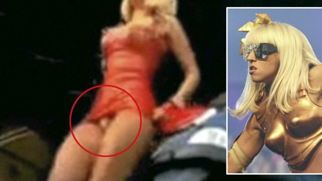 Lady Gaga Hermaphrodite 