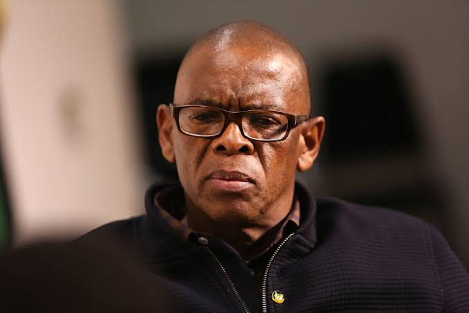 Ace Magashule net worth