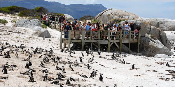 Cape Town Attractions