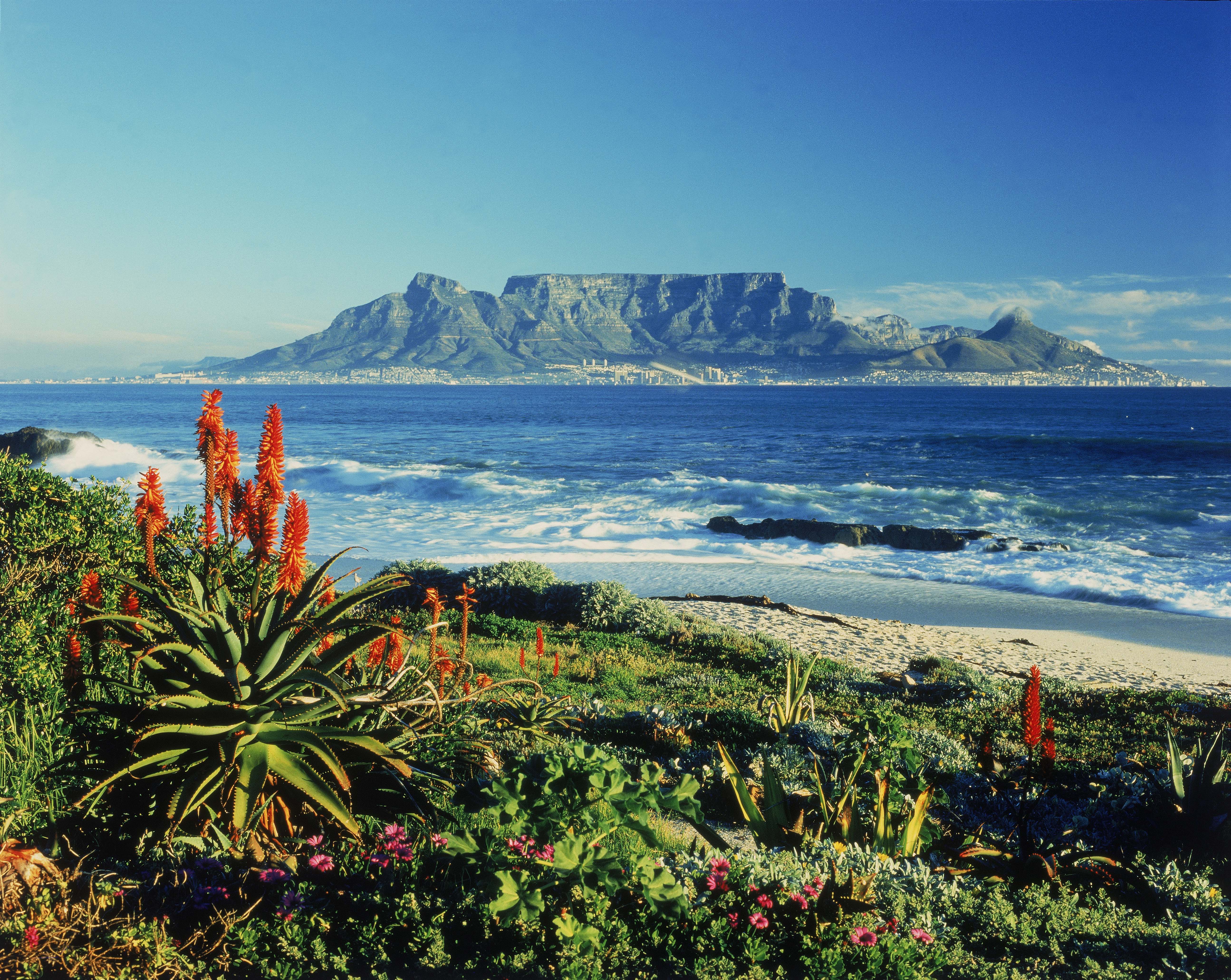 Barcode: 01301978 Title: Table Mountain Province: Western Cape Location: Cape Town Notes: Copyright by South African Tourism (1/682) Table Mountain Pristine beaches, sheltered by bays and secluded coves encircle the majestic might of Table Mountain which towers 1086 m above the Mother City. Table Mountain is also a World Heritage Site which boasts 8 500 species of wildflowers Keywords: Western Cape, Table Mountain, Places of Interest, Mountains, Sea and Beaches, Large Formats Photographer: Mark van Aardt Original File Name: CF70083M.JPG Copyright Owner: Copyright SOUTH AFRICAN TOURISM