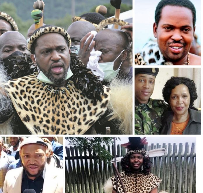 Who Are Queen Mantfombi Dlamini Zulu’s Sons?