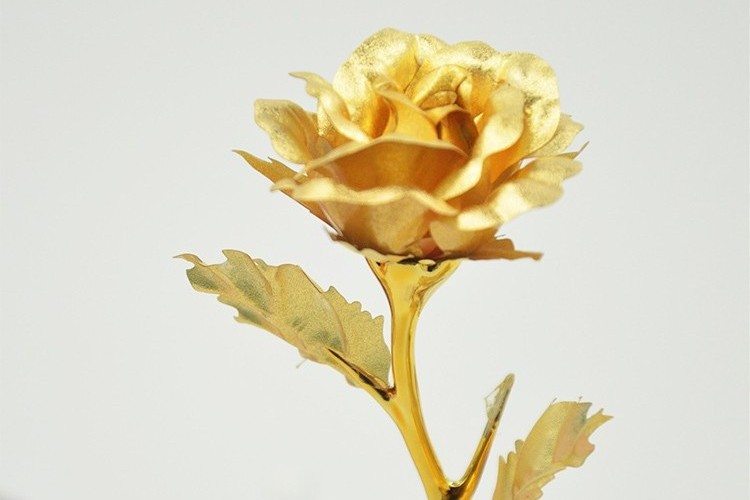 Gold Plated Roses