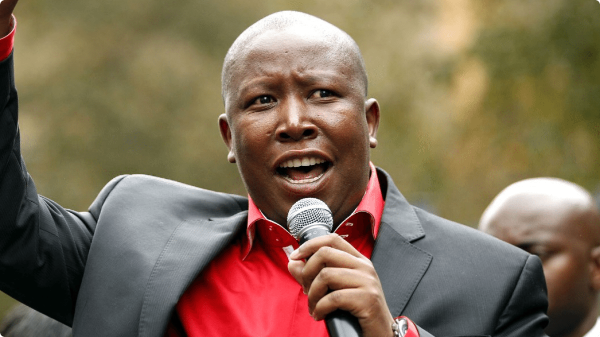 Image result for Julius Malema