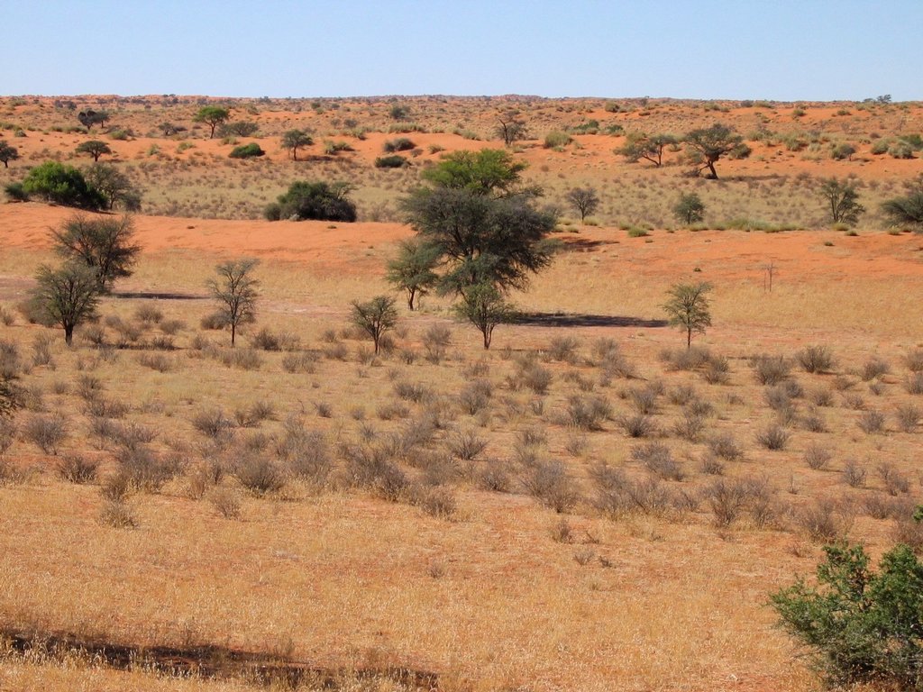 namib desert map