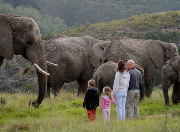 Knysna South Africa