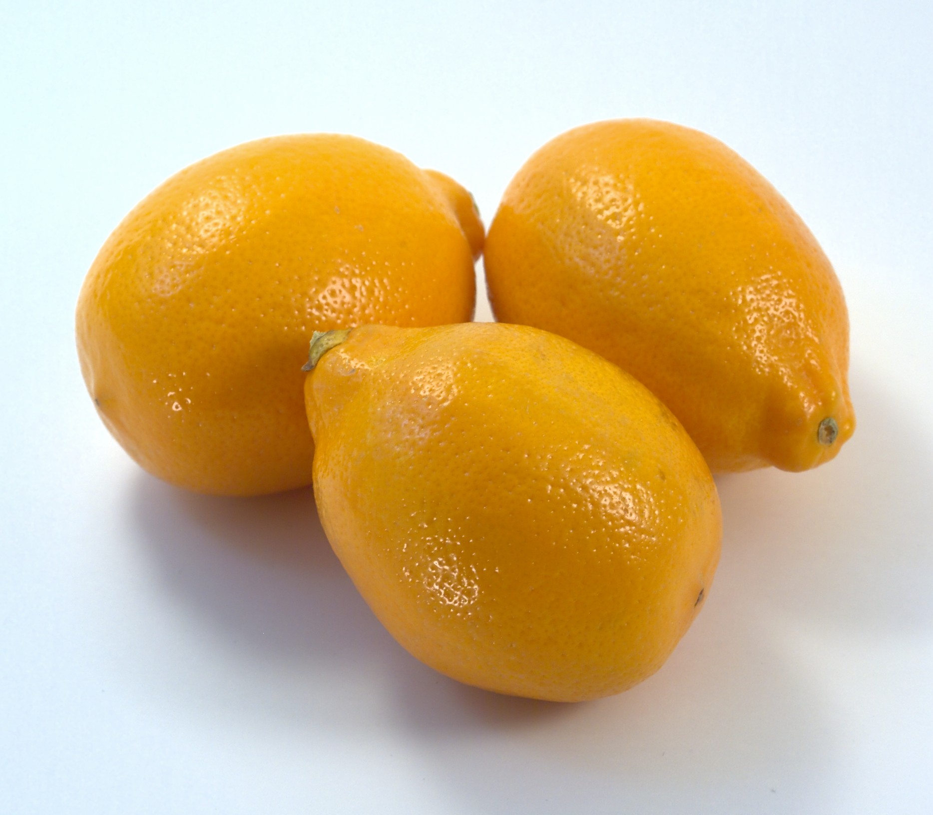 Meyer-lemon-ripe - 20 Most Weird Fruits
