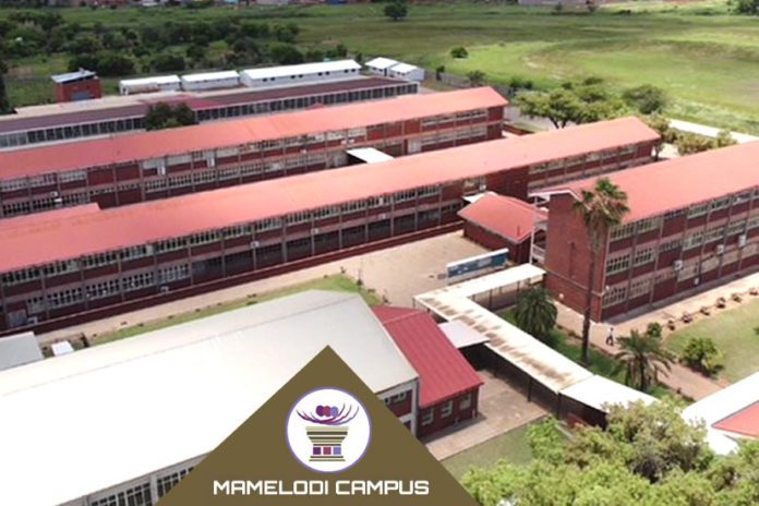 Colleges in Pretoria
