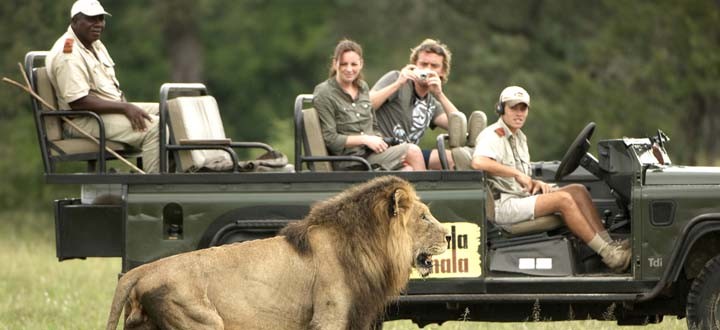 Africa; South Africa; Mala Mala Game Reserve; Main Camp; Game Drive