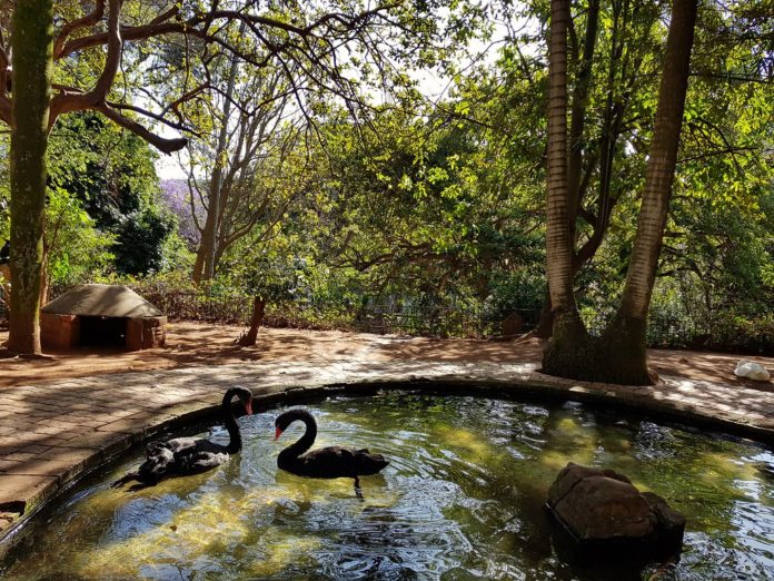20 Fun Things to do in Durban Today