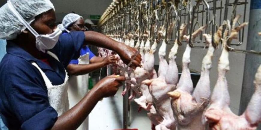 Government Sets Up Joint Task Team To Negotiate With Poultry Farmers