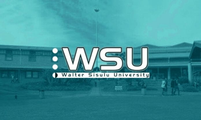 WSU Online Application Process and How To Check Your Admission Status