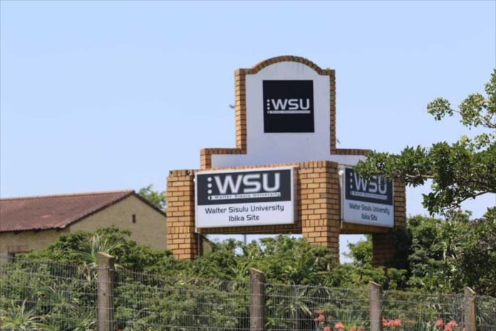 WSU Online Application Process and How To Check Your Admission Status